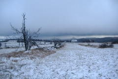 Herbst in Zinnwald-Georgenfeld