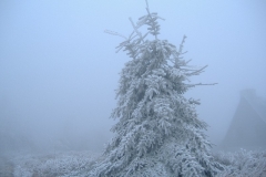 Herbst in Zinnwald-Georgenfeld
