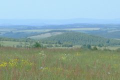 Herbst in Zinnwald-Georgenfeld