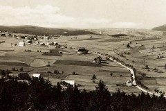 Historische Bilder von Zinnwald
